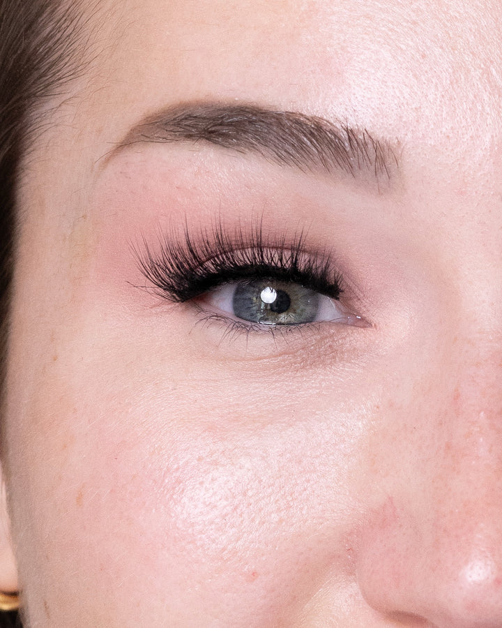 Venus - Black Deal Special