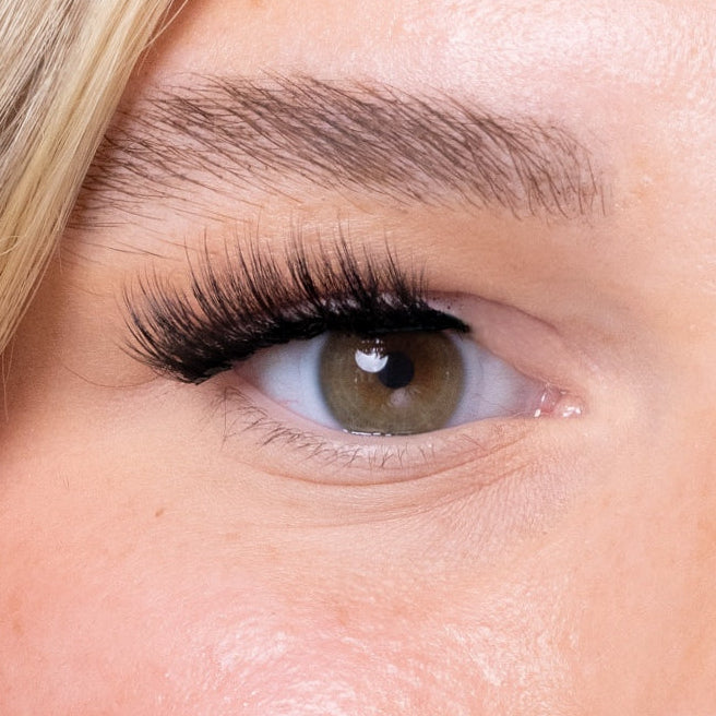 Venus - Black Deal Special